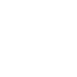 Fluxia Studio Logo